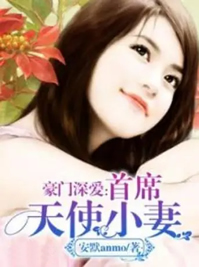 豪門深愛之天使小妻